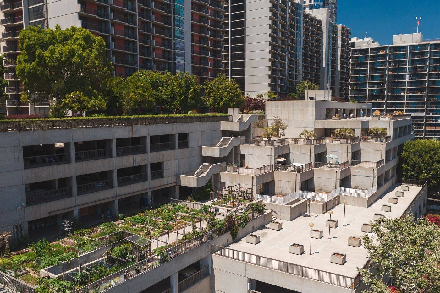 Planted roof and podium garden context